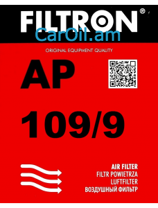 Filtron AP 109/9